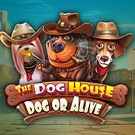 The Dog House – Dog Or Alive – gra na telefon